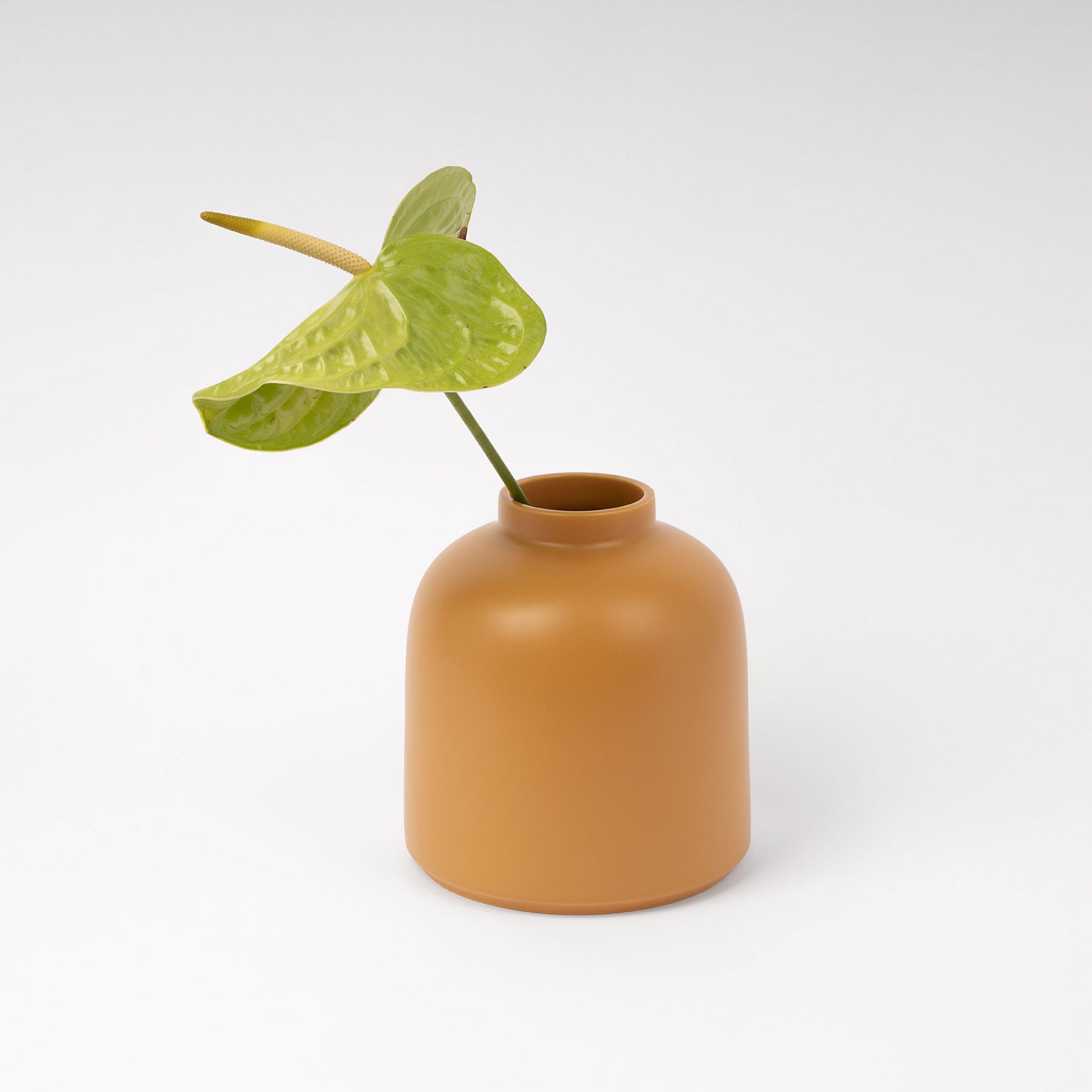Mustard Rounded Dome Vase - Image 3